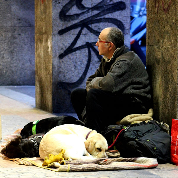 picture of homeless and his pet dog living on the street
